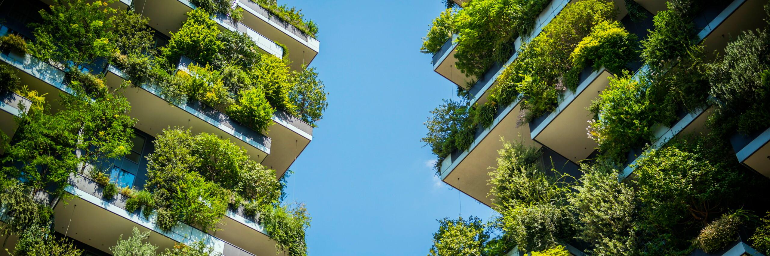 View of the sky between two high-rise buildings planted with greenery
