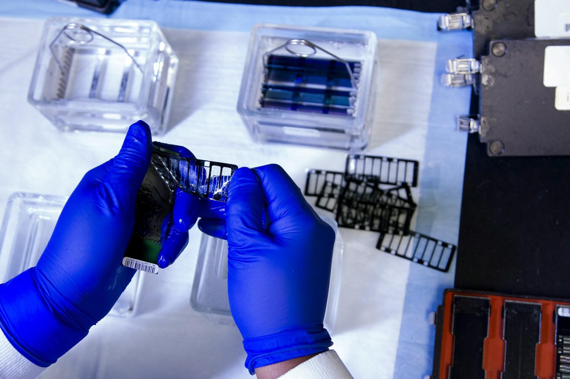 Arbeit im Labor Hands wearing blue gloves remove the barcode from an object