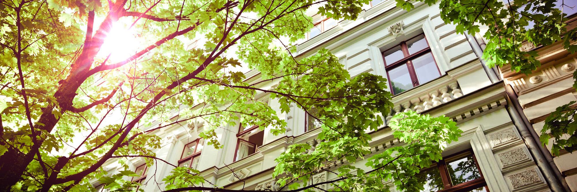 Hausfassade mit Bäumen House façade with trees in sunlight
