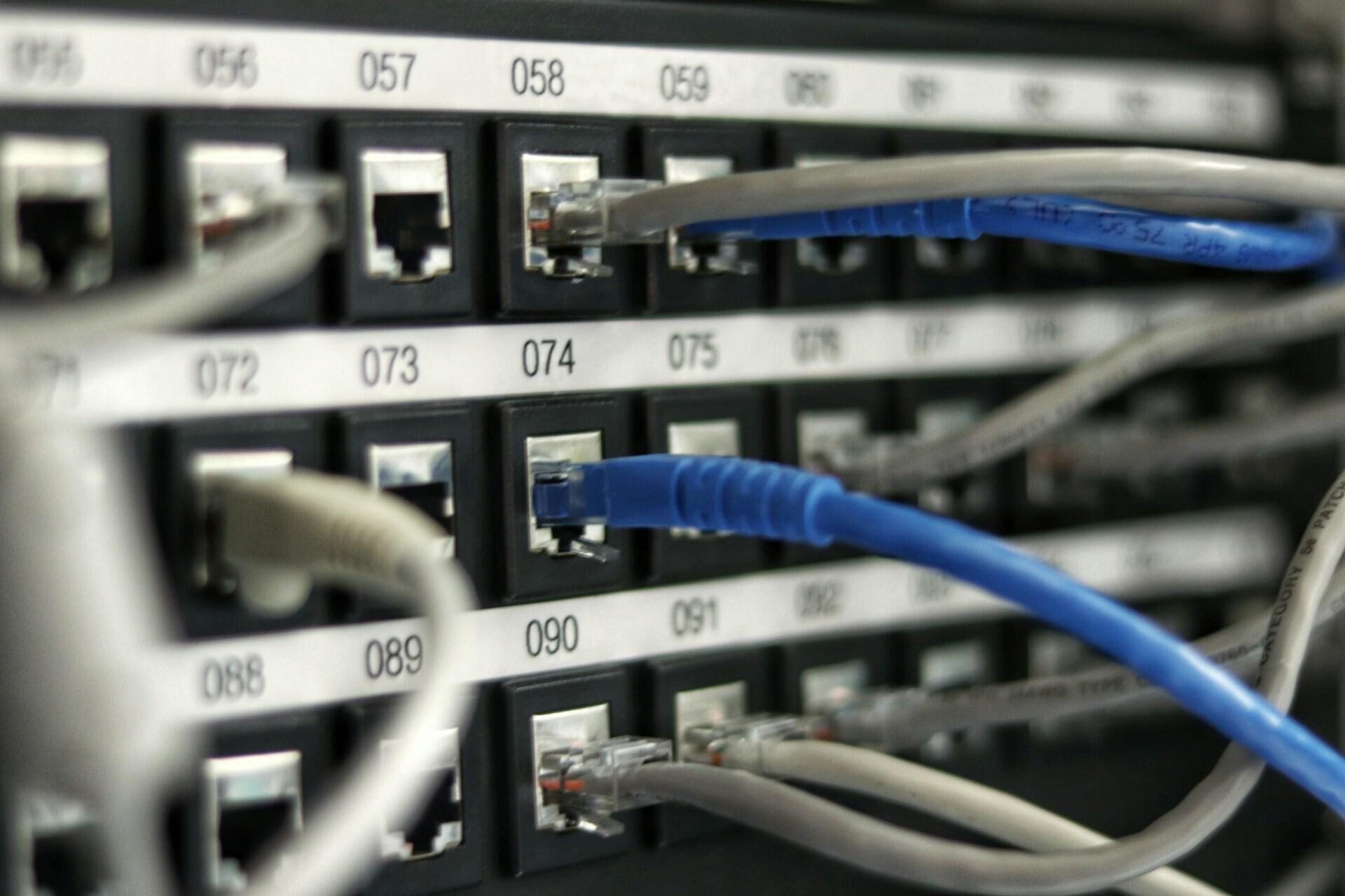 Kabel Mehrere Netzwerkkabel in blau und weiß sind in einem Gerät angesteckt und dort nummeriert