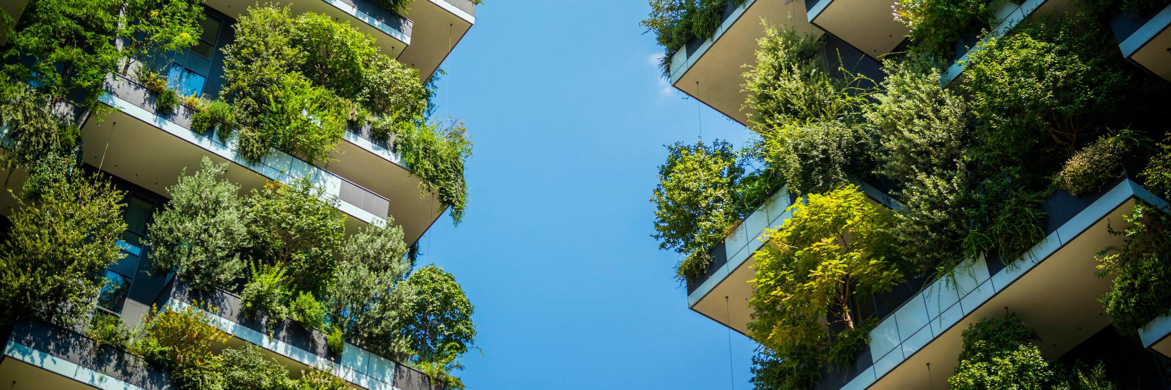 Grün bepflanzte Häuser Blick in den Himmel zwischen zwei grün bepflanzten Hochhäusern 